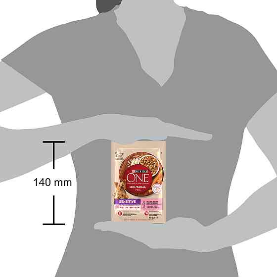 Влажный корм PURINA ONE Mini/Small Sensitive для взрослых собак мелких пород, с чувствительным пищеварением, с лососем, рисом и морковью, 85 г Киев