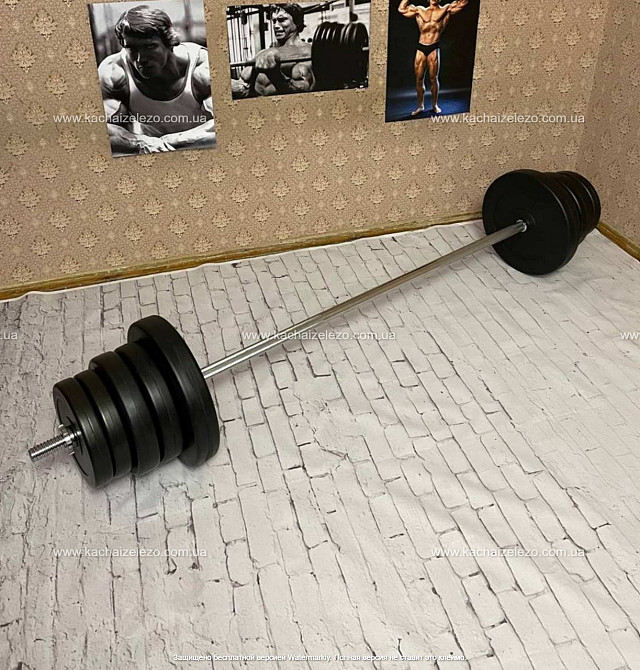 Штанга набірна на 60 кг Гантелі, гирі, штанги і диски в ударостійкому пластику Київ - фото 1