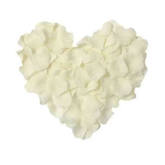 Пелюстки троянд штучні 100 штук 45 на 45 мм бежевий Київ