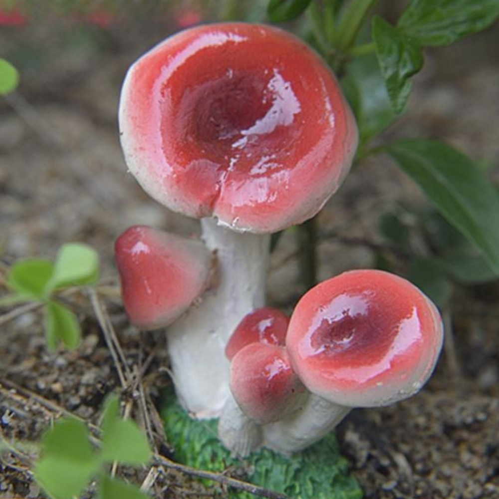 Садовые Грибы из полистоуна 5 х 4.5 х 3 см Одесса - изображение 4