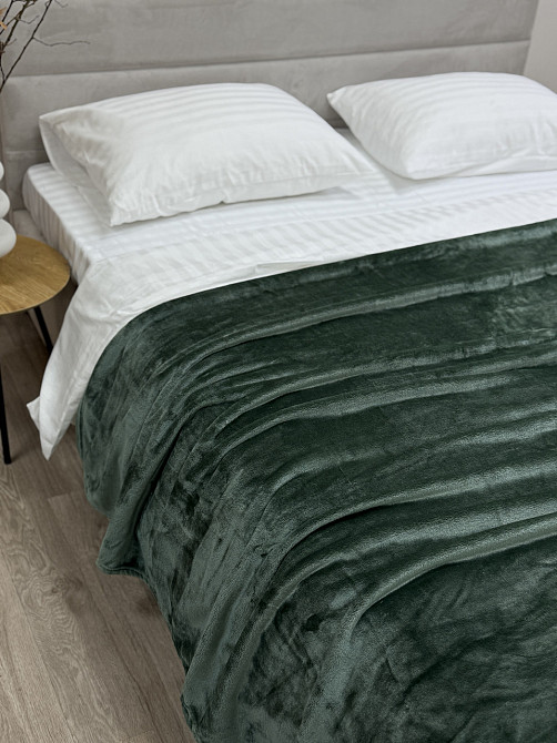 Ecotton Плед Ecotton 200х220 см Well Soft пудровий зелений (17-0112 Matte green) Киев - изображение 1