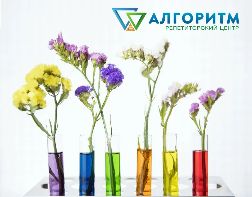 Центр Алгоритм — біологія та хімія для школярів у Дніпрі Дніпро - фото 1