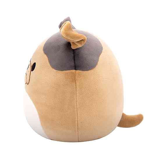 М'яка іграшка Squishmallows – Бульдог Лофер (19 cm) Днепр