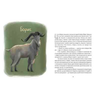 Книга Єнот Ракета та інші герої - Євгенія Завалій Видавництво Старого Лева (9789664481868) Вінниця