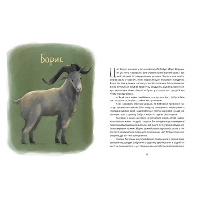 Книга Єнот Ракета та інші герої - Євгенія Завалій Видавництво Старого Лева (9789664481868) Вінниця - фото 5