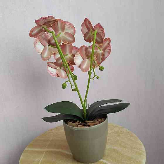 Штучна латексна міні орхідея в сірому пластиковому кашпо на дві гілки жовто-малинова Дніпро