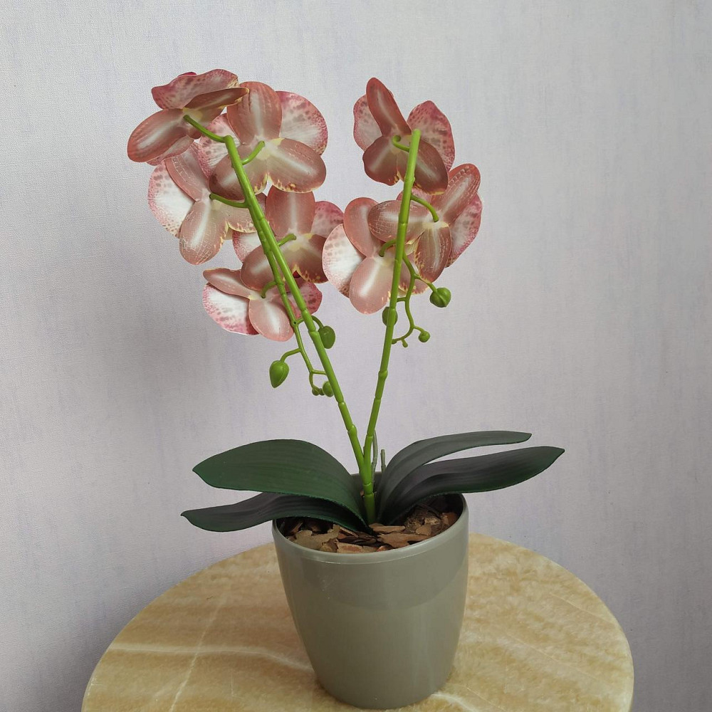 Штучна латексна міні орхідея в сірому пластиковому кашпо на дві гілки жовто-малинова Дніпро - фото 3