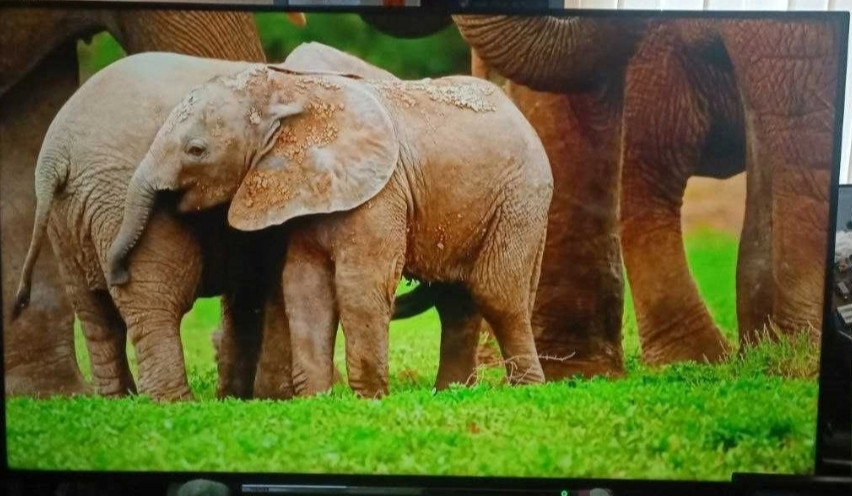 Телевизор: 58