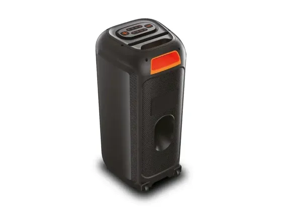 Акустична переносна колонка ZXX-5504 1000Вт 2x6,5" 240х235х545мм TWS/FM/USB/TF/BT/LED/REC/MIC Київ
