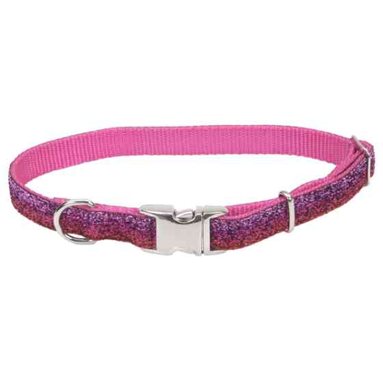 Coastal Pet Attire Sparkles КОСТАЛ СПАРКЛЕС ошейник для собак, 1х30-46см Киев