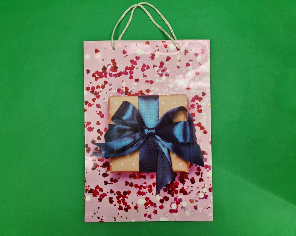 Великий паперовий пакет вертикальний 25/37/8 (артBV-122) (12 шт.) Харків - фото 4