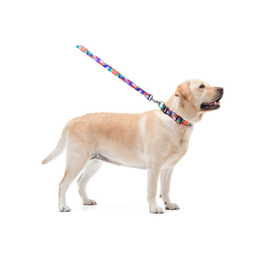 Повідець для собак нейлоновий WAUDOG Nylon, малюнок "Вітраж", Ш 20 мм, Дов 122 см Коломия - фото 4