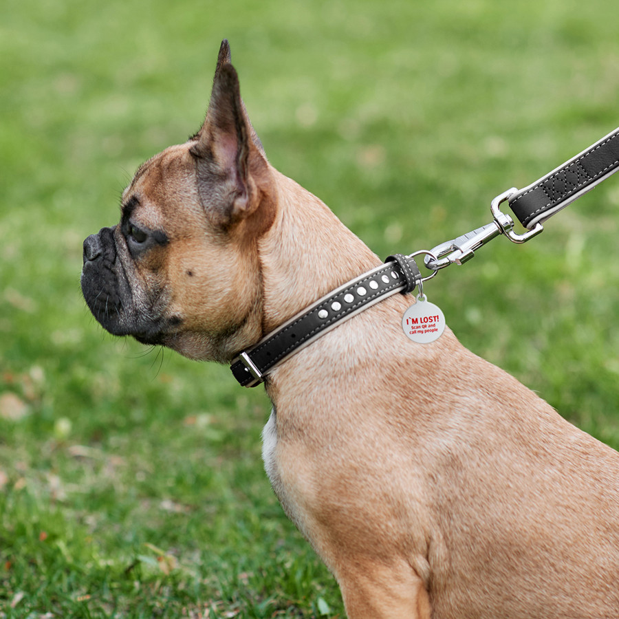 Нашийник для собак шкіряний WAUDOG Soft з QR паспортом, металічні прикраси, Ш 20 мм, Дов 30-39 Коломия - фото 3