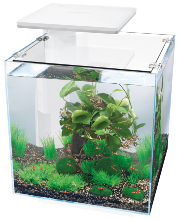 Аквариумный набор SuperFish QubiQ 30 LED White (A4050890) Киев