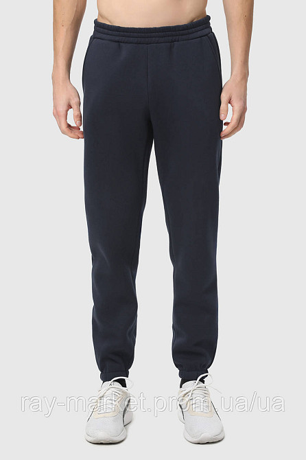Штани чоловічі утеплені темно-сині RAY BASIC U0901 (U0901M-Navy Blue) M Київ - фото 1