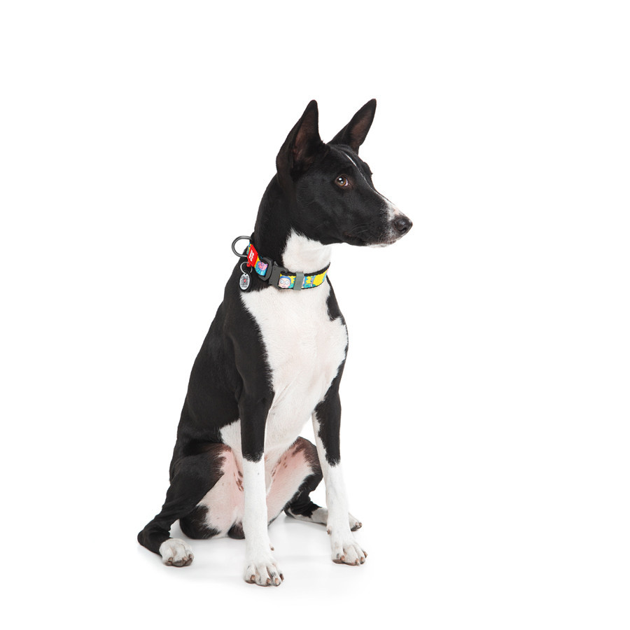 Нашийник для собак нейлоновий WAUDOG Nylon з QR-паспортом, малюнок "Рік і Морті 1", металева Вінниця - фото 5