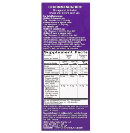 Чорна бузина для дітей Nature's Way Sambucus for Kids 120 мл Київ