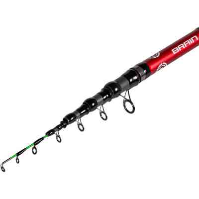 Вудилище Brain fishing Classic Tele Feeder 2.40m max 160g (1858.46.71) Вінниця