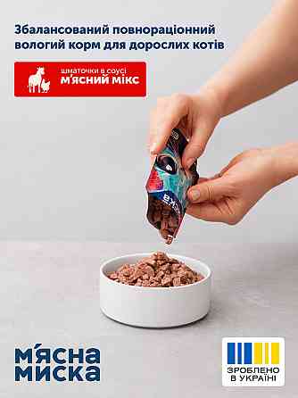 Вологий корм для дорослих котів М'ясна миска шматочки в соусі м'ясний мікс, 100 г Вінниця