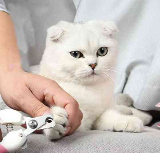 Кусачки для стрижки когтей у кошек и собак в комплекте с пилочкой - размер кус 14,5*6,5см, розовый Киев