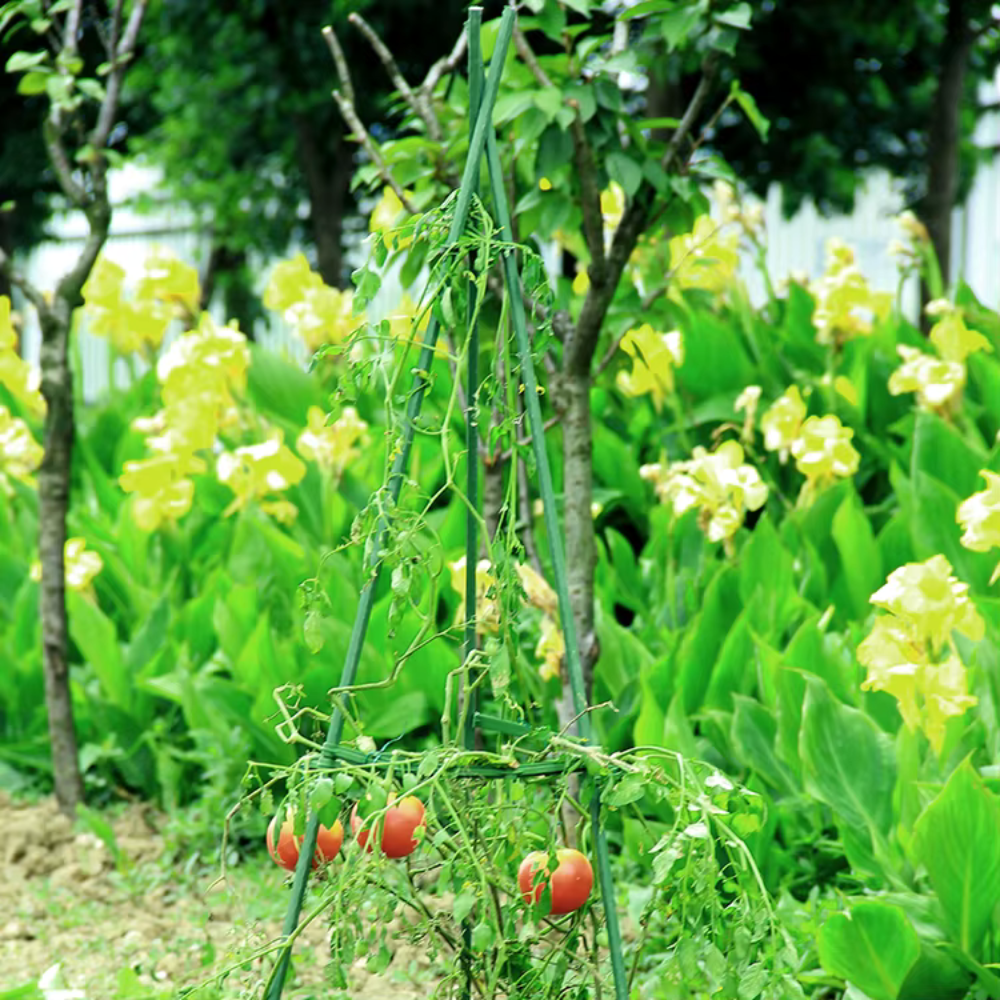 Опора-решетка для комнатных и садовых высокорослых цветов,растений, рассады томата,огурца,перца высота 120 см Каменец-Подольский - изображение 9