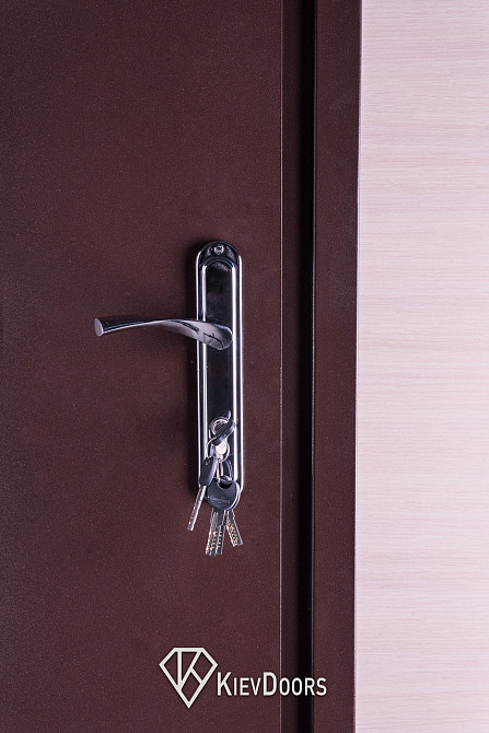 Двери Металл/ДСП+притвор, Шагрень 8017 снаружи, внутри ДСП 16 мм, толщина короба 80 мм, полотно 50 Киев - изображение 2