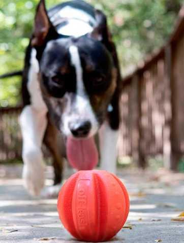 Іграшка для собак м'яч з карабіном і з схованкою для ласощів Dexas Off-Leash (Дексас Оф Ліш) Запоріжжя - фото 7