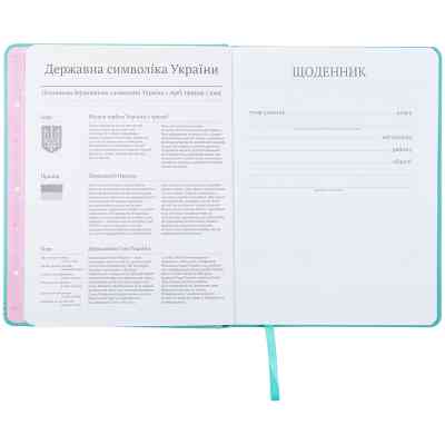 Щоденник шкільний Kite Roller-skates тверда обкладинка (K22-264-3) Вінниця