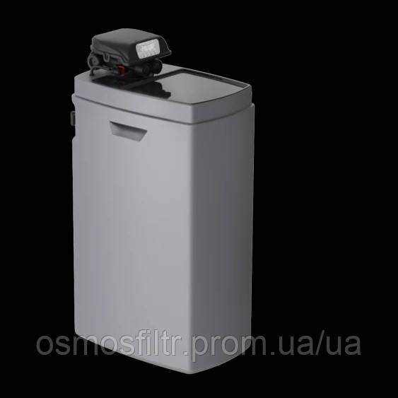 Компактний фільтр знезалізнення та пом'якшення води Ecosoft Anthracite Gold 250 (FK1035CABGDVMIXA) Київ - фото 2