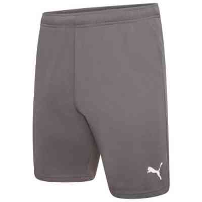Шорты Puma teamRISE Short 704942-13 сірий XXL (4063699212013) Винница