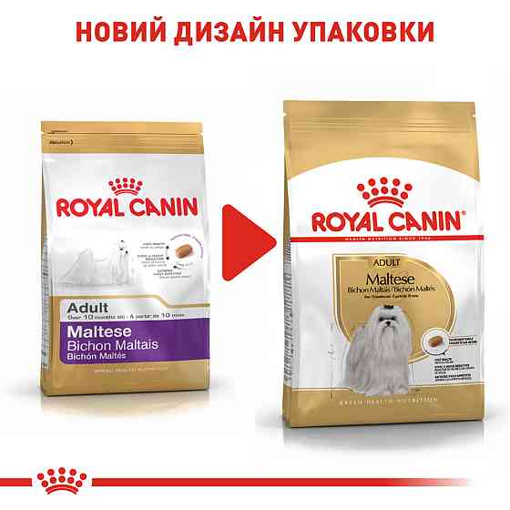 Корм для дорослих собак породи Мальтійська болонка ROYAL CANIN MALTESE ADULT 0.5 кг Київ