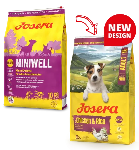 Сухой корм Йозер Josera Mini Adult Chicken&Rice (Miniwell) для взрослых миниатюрных пород, 10 кг Винница - изображение 3