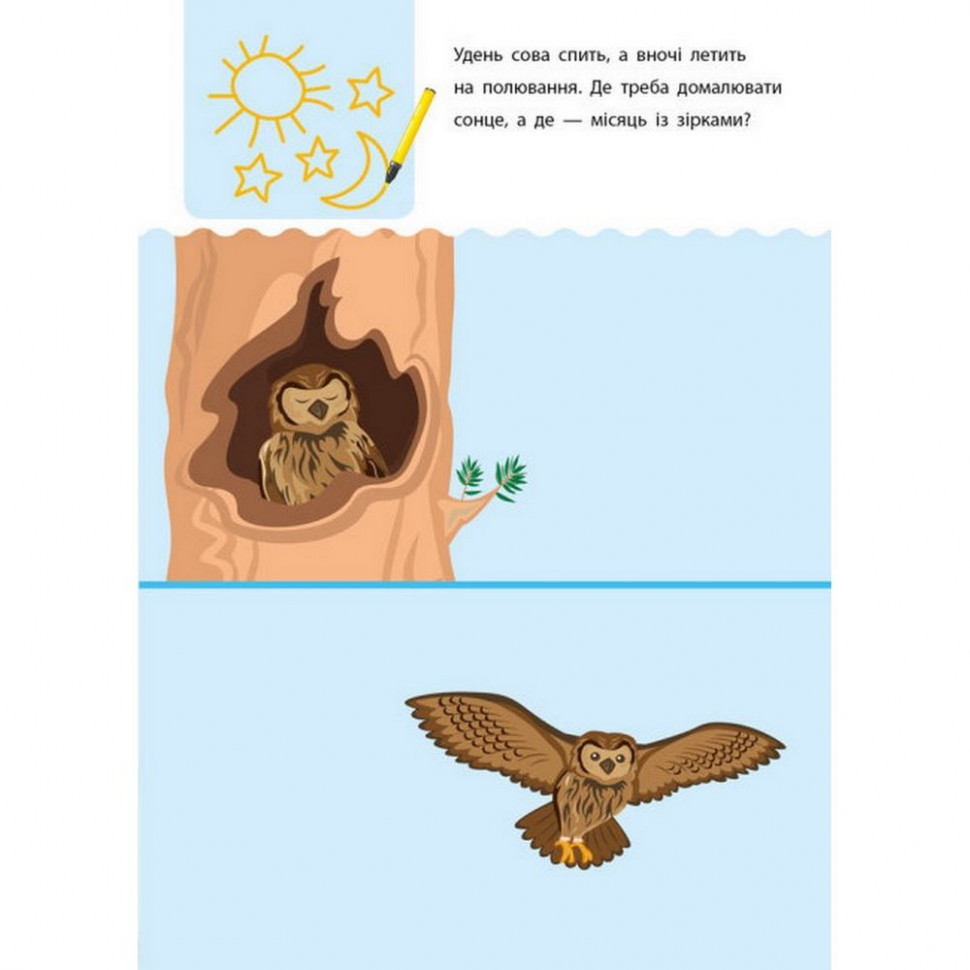 Обучающая книга 