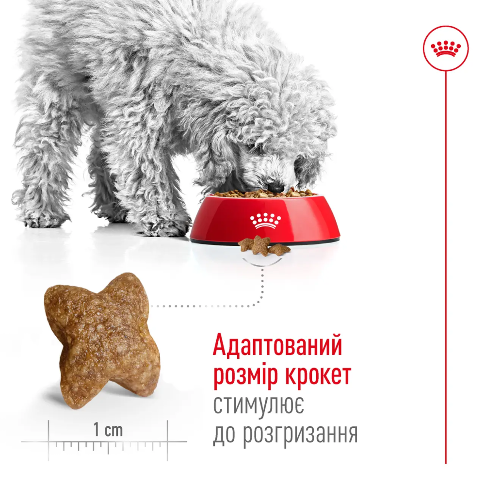 Royal Canin Mini Adult (Рояв Канін Міні Едалт) сухий корм для маленьких дорослих собак 4-10 кілограм від 10 місяців 8 кілограмів. Запоріжжя - фото 6