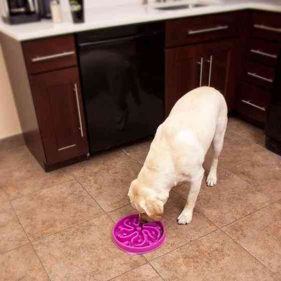 Миска лабиринт для собак Outward Hound Fun Feeder Slo-Bowl Flower (Аутвард Хаунд Фан Фидер Цветок) Запорожье