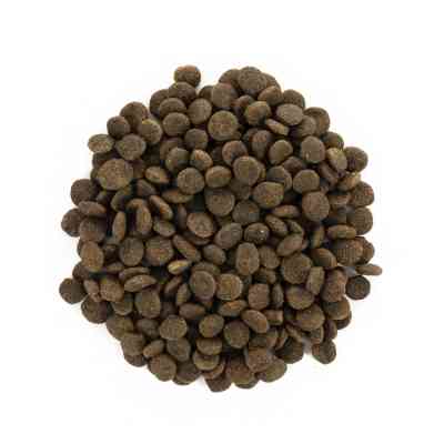 Сухий корм для кішок Brit Care Cat GF Sterilized Sensitive 2 кг (8595602540761) Вінниця