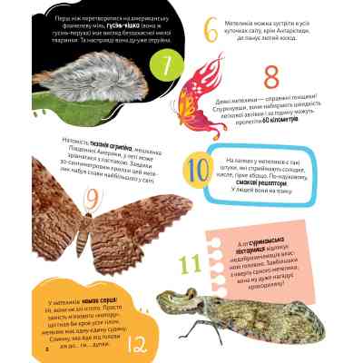 Книга Комахи. 100 цікавих фактів - Ольга Пилипенко Vivat (9789669829856) Винница