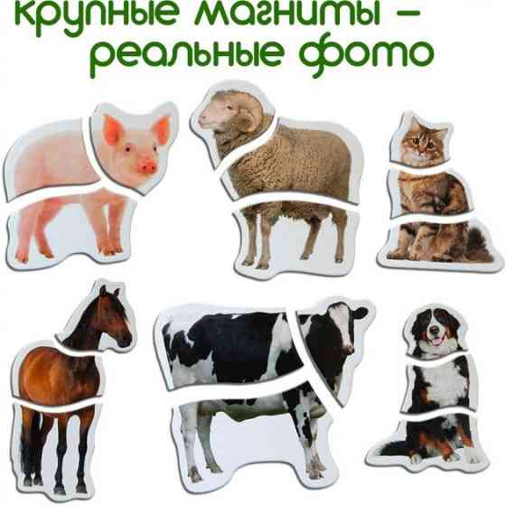 Магнитные пазлы Magdum 