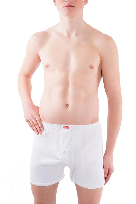 Труси чоловічі бокси Lans 01/004 4XL, Білий Київ - фото 1