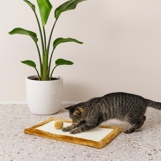 Дряпка-килимок Trixie для котів з іграшкою на мотузці бежева 55х35 см Київ