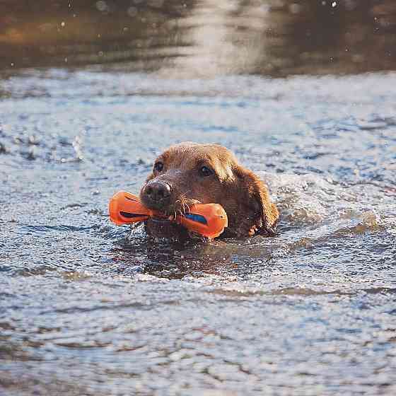 Игрушка апорт Chuckit! Hydrosqueeze Bumper для сжатия и выпуска воды для собак, размер L Винница