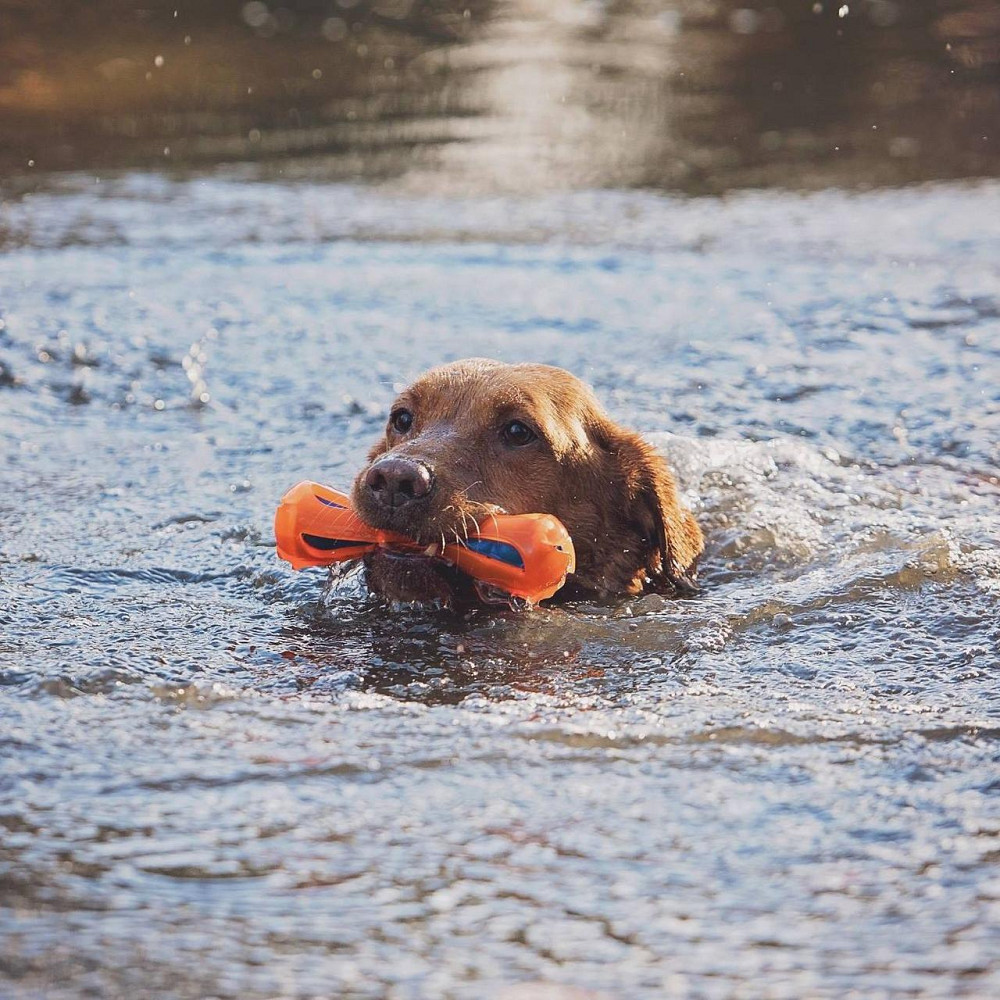 Игрушка апорт Chuckit! Hydrosqueeze Bumper для сжатия и выпуска воды для собак, размер L Винница - изображение 3