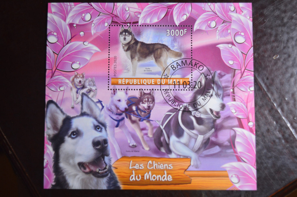 Малі. Марки. Фауна. Блок. 2020 рік (В-1) Полтава - фото 1