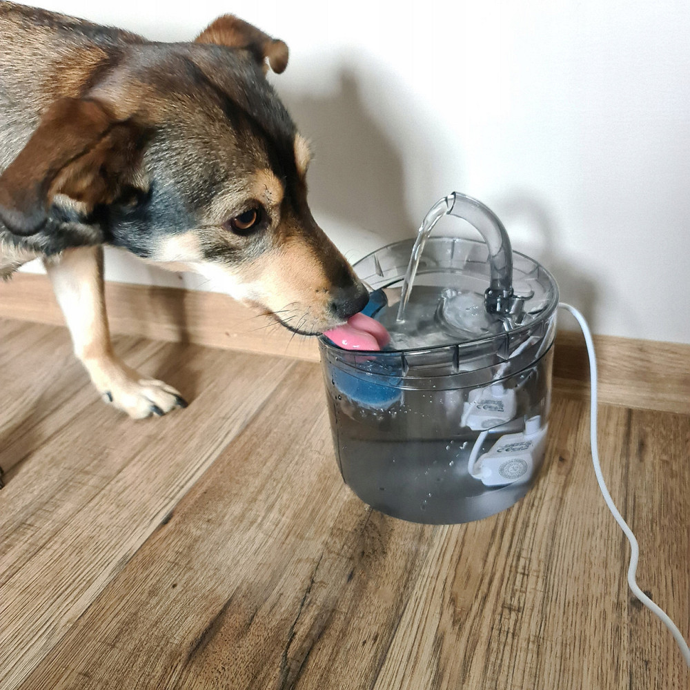 Автоматическая Поилка - фонтан для домашних животных 2 литры Purlov (20700) Нововолынск - изображение 9