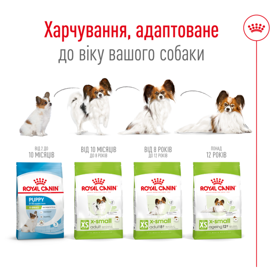 Сухий корм для дорослих собак дрібних порід ROYAL CANIN XSMALL ADULT 0.5 кг Київ