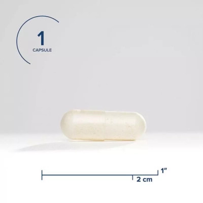 Пробиотики Seeking Health Пробиотики, 12 миллиардов КОЕ, ProBiota Bifido, 60 вегетарианск (SKH52102) Винница - изображение 3