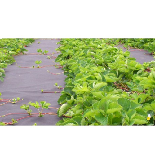 Агроволокно 50гр/м2 (3,2м) 100м чорний Агрін Житомир