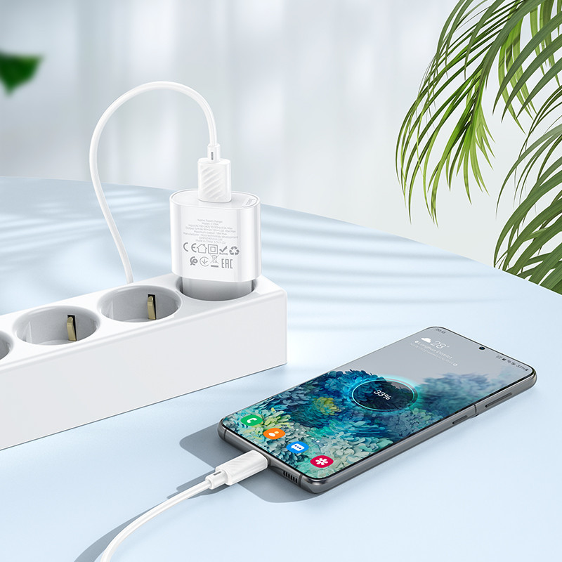 Зарядное устройство HOCO C109A Fighter с кабелем, белое Киев - изображение 2