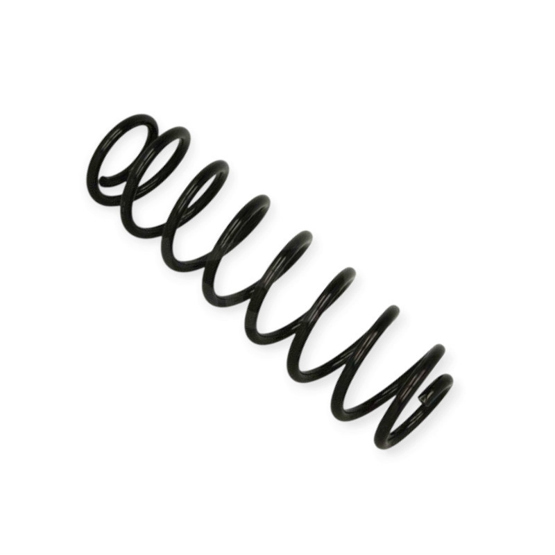 Пружина задня автомобіль Шкода Fabia I, II Combi 1.2-2.0, 1.4-1.9TDI, 1.2TSI, 1.9SDI (00-14) Мукачево - фото 1