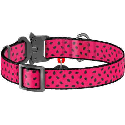 Ошейник для животных WAUDOG Nylon "Арбуз" металлическая пряжка-фастекс М (5146) Винница
